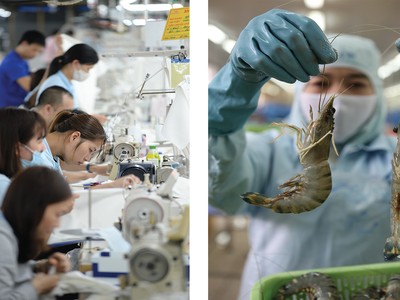 Sự phân hóa lợi nhuận trong ngành dệt may và thủy sản sẽ ngày càng rõ rệt