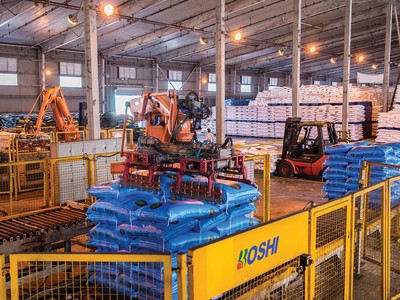 Giá phân bón được dự báo sẽ tiếp tục tăng trong quý II/2026