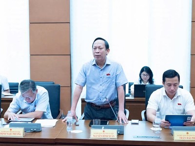 Đại biểu Nguyễn Đình Xuân phát biểu tại tổ. 