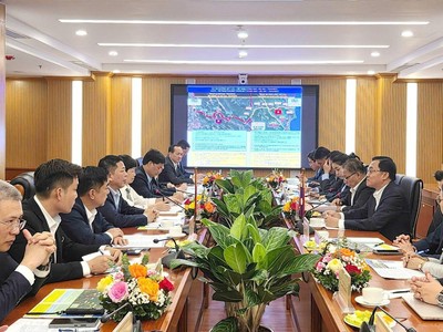 Quang cảnh buổi làm việc. 