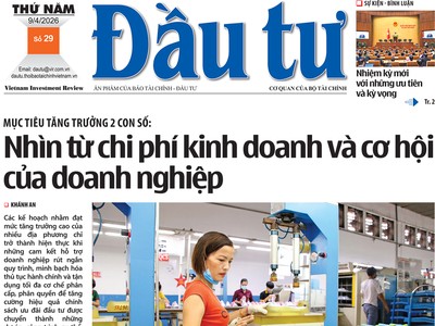 Báo Đầu tư số 29