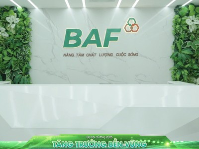 BAF đệ trình phương án chi trả cổ tức và phát hành cổ phiếu thưởng với tỷ lệ 20% 