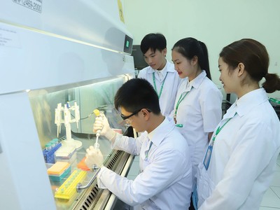 Dự kiến học sinh, sinh viên đang học đại học, cao đẳng, trung học chuyên nghiệp hoặc học nghề, nếu có thu nhập 3 triệu đồng/tháng sẽ được xác định là người phụ thuộc