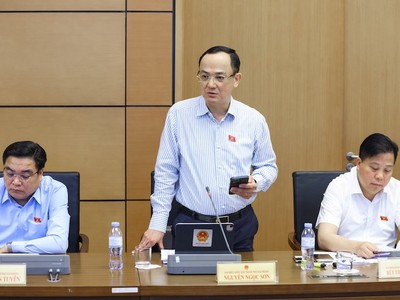 Đại biểu Nguyễn Ngọc Sơn phát biểu tại tổ - Ảnh: QV 