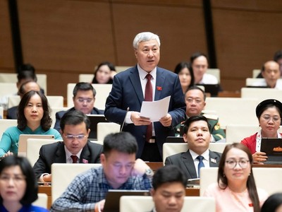 Đại biểu Trần Văn Lâm phát biểu tại hội trường.