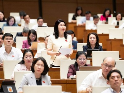 Đại biểu Trần Thị Vân tham gia thảo luận.