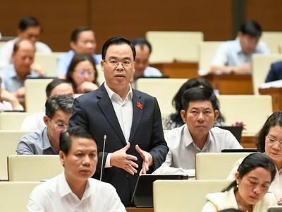 Đại biểu Trần Văn Khải phát biểu tại hội trường. 