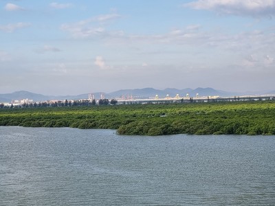 Quảng Ninh nghiên cứu, lựa chọn phương án tối ưu đầu tư xây dựng cầu Cửa Lục 2 