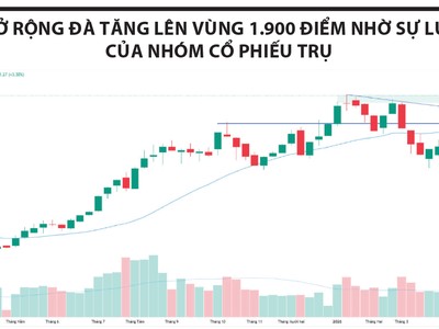 VN-Index tiến sát đỉnh lịch sử, dầu khí trở lại tâm điểm tăng trưởng