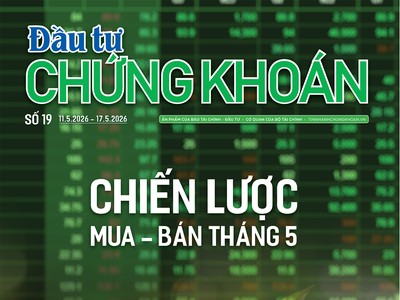Báo Đầu tư Chứng khoán số 19