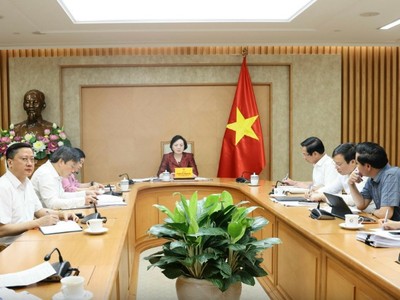 Bí thư Trung ương Đảng, Phó Thủ tướng Chính phủ Phạm Thị Thanh Trà chủ trì cuộc họp - Ảnh: VGP
