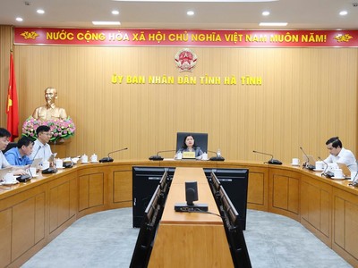 Bà Nguyễn Thị Nguyệt - Phó chủ tịch UBND tỉnh Hà Tĩnh chủ trì cuộc họp