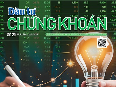 Báo Đầu tư Chứng khoán số 20