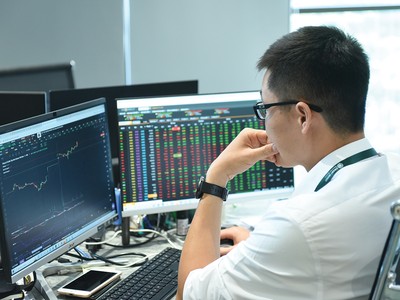 Việc VN-Index tăng điểm không đồng nghĩa mọi danh mục đều được phục hồi tương ứng