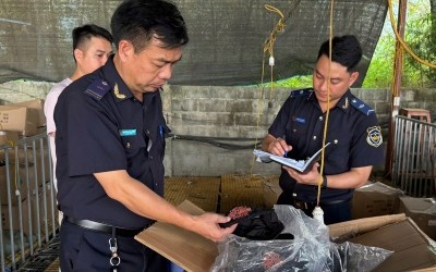 Công chức hải quan kiểm đếm hàng hoá vi phạm.