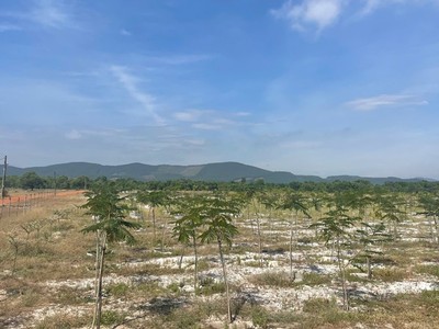 Khu vực thực hiện Dự án Đầu tư xây dựng kết cấu hạ tầng Khu công nghiệp Tam Anh 1 với tổng vốn đầu tư 1.500 tỷ đồng.