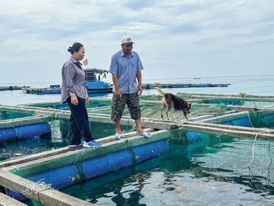 Ở đảo, cán bộ ngân hàng là người đồng hành với bà con trong cuộc mưu sinh. Trong ảnh: Bà Lê Thị Của, Giám đốc Agribank Chi nhánh Lý Sơn thăm lồng bè của gia đình anh Huỳnh Ngọc Thảo, thôn Đông An Hải, Đặc khu Lý Sơn 