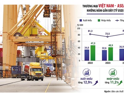 Việt Nam - ASEAN có dư địa lớn thúc đẩy tăng trưởng thương mại song phương. Ảnh: Đức Thanh 