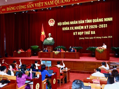 100% đại biểu HĐND tỉnh biểu quyết thông qua các nghị quyết trình tại kỳ họp. Ảnh: QMG
