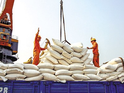 Xuất khẩu gạo tiếp tục là một trong những điểm sáng của thương mại nội khối, phản ánh dư địa mở rộng hợp tác đầu tư và liên kết chuỗi giá trị giữa Việt Nam với các đối tác ASEAN. Ảnh: Đức Thanh