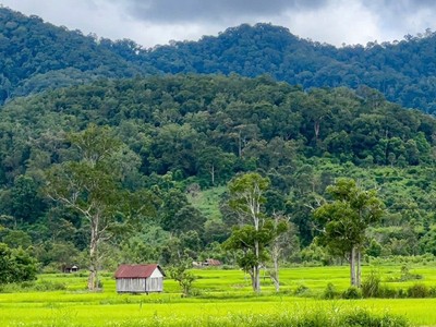 Xúc tiến đầu tư nhiều điểm du lịch mới, hấp dẫn tại tỉnh Gia Lai 