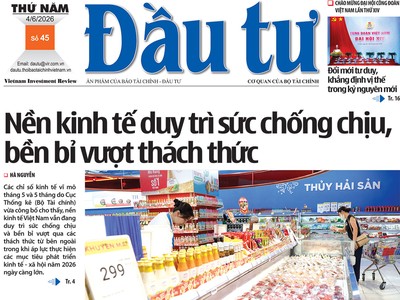 Báo Đầu tư số 45