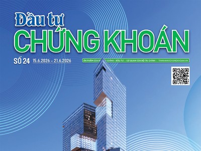 Báo Đầu tư Chứng khoán số 24