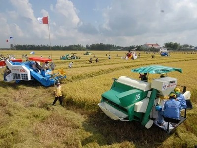 Ngành nông nghiệp và môi trường tiết kiệm 5.300 tỷ đồng nhờ cắt giảm thủ tục hành chính 