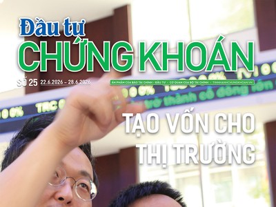 Báo Đầu tư Chứng khoán số 25