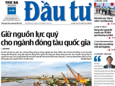 Báo Đầu tư số 46