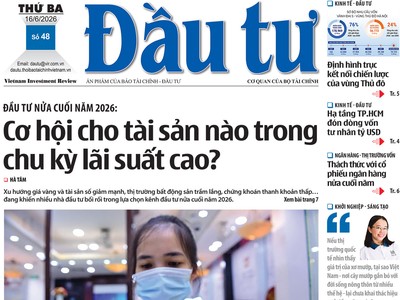 Báo Đầu tư số 48