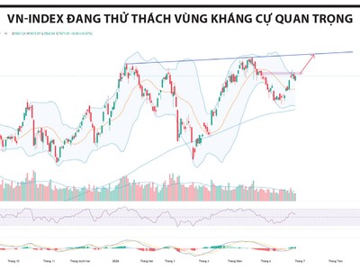 Thị trường đang ở trạng thái hồi phục từ đáy