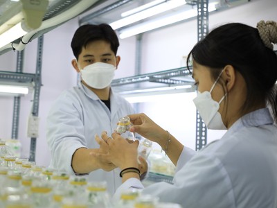 Nuôi cấy mô tại phòng thí nghiệm 