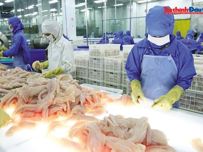 6 tháng đầu năm nay, kim ngạch xuất khẩu thủy ước đạt khoảng 5,7 tỷ USD, tăng khoảng 11% so với cùng kỳ năm trước. Ảnh: Lê Toàn