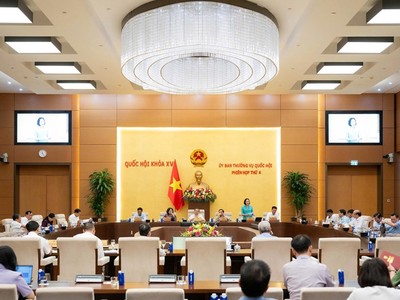 Phó chủ tịch Quốc hội Nguyễn Thị Thanh điều hành phiên thảo luận. 