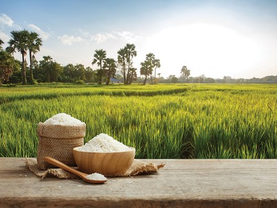 Việt Nam duy trì sản lượng xuất khẩu gạo ở mức cao trong nửa đầu năm 2026, nhưng giá trị thu về lại sụt giảm so với cùng kỳ do áp lực cạnh tranh toàn cầu