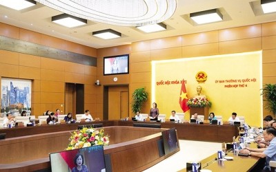 Ủy ban Thường vụ Quốc hội cho ý kiến về Dự án một luật sửa một số điều của 3 luật 
