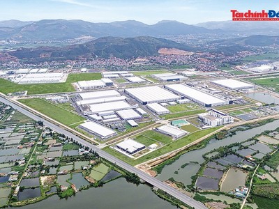 Giữ nhịp tăng trưởng bằng những kịch bản linh hoạt 