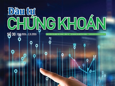 Báo Đầu tư Chứng khoán số 30