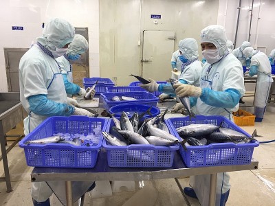 Doanh nghiệp Việt xuất khẩu sang Israel lưu ý quy định về lao động cưỡng bức. 