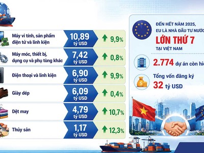 Quan hệ Việt Nam - EU sau 6 năm thực thi EVFTA 