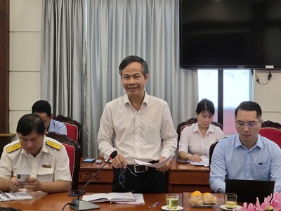 Ông Trịnh Xuân Đức, Phó tổng giám đốc Tập đoàn Becamex phát biểu tại hội nghị. Ảnh: TT