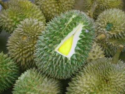 Sầu riêng tươi Việt Nam được xuất khẩu sang Ấn Độ. 