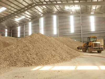 Sắn lát trong kho chờ xuất khẩu. Ảnh: ĐVCC.