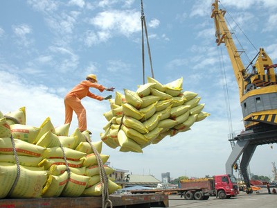 TP.HCM yêu cầu cơ quan chức năng tuyệt đối không để xảy ra tình trạng chậm trễ, ách tắc khó khăn cho doanh nghiệp xuất khẩu gạo.