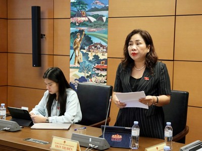 Đại biểu Trần Thị Hiền (Ninh Bình) phát biểu tại tổ - Ảnh: QH.