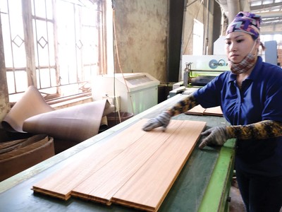 Khu vực doanh nghiệp, đặc biệt là doanh nghiệp nhỏ và vừa đang đối mặt với nhiều khó khăn