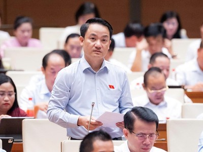 Đại biểu Lê Văn Thế (Ninh Bình) phát biểu tại hội trường - Ảnh: QH 