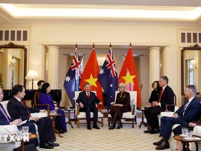 Tổng Bí thư, Chủ tịch nước Tô Lâm hội kiến Toàn quyền Australia Sam Mostyn. (Ảnh: Thống Nhất/TTXVN)