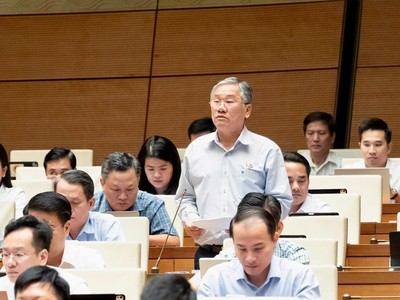 Đại biểu Trịnh Ngọc Phương (Tây Ninh) phát biểu tại hội trường - Ảnh: QH. 